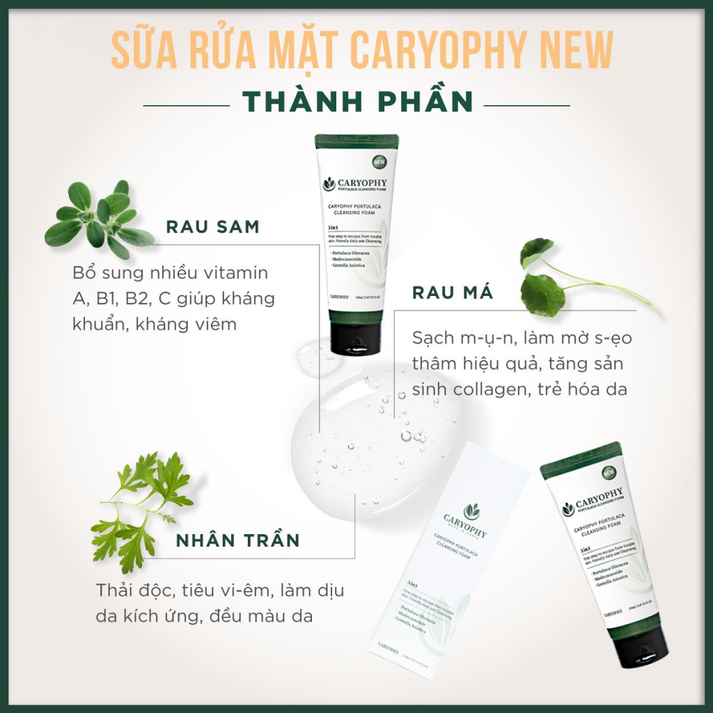 Sữa rửa mặt Caryophy Portulaca Cleansing Foam 150ml – NEW