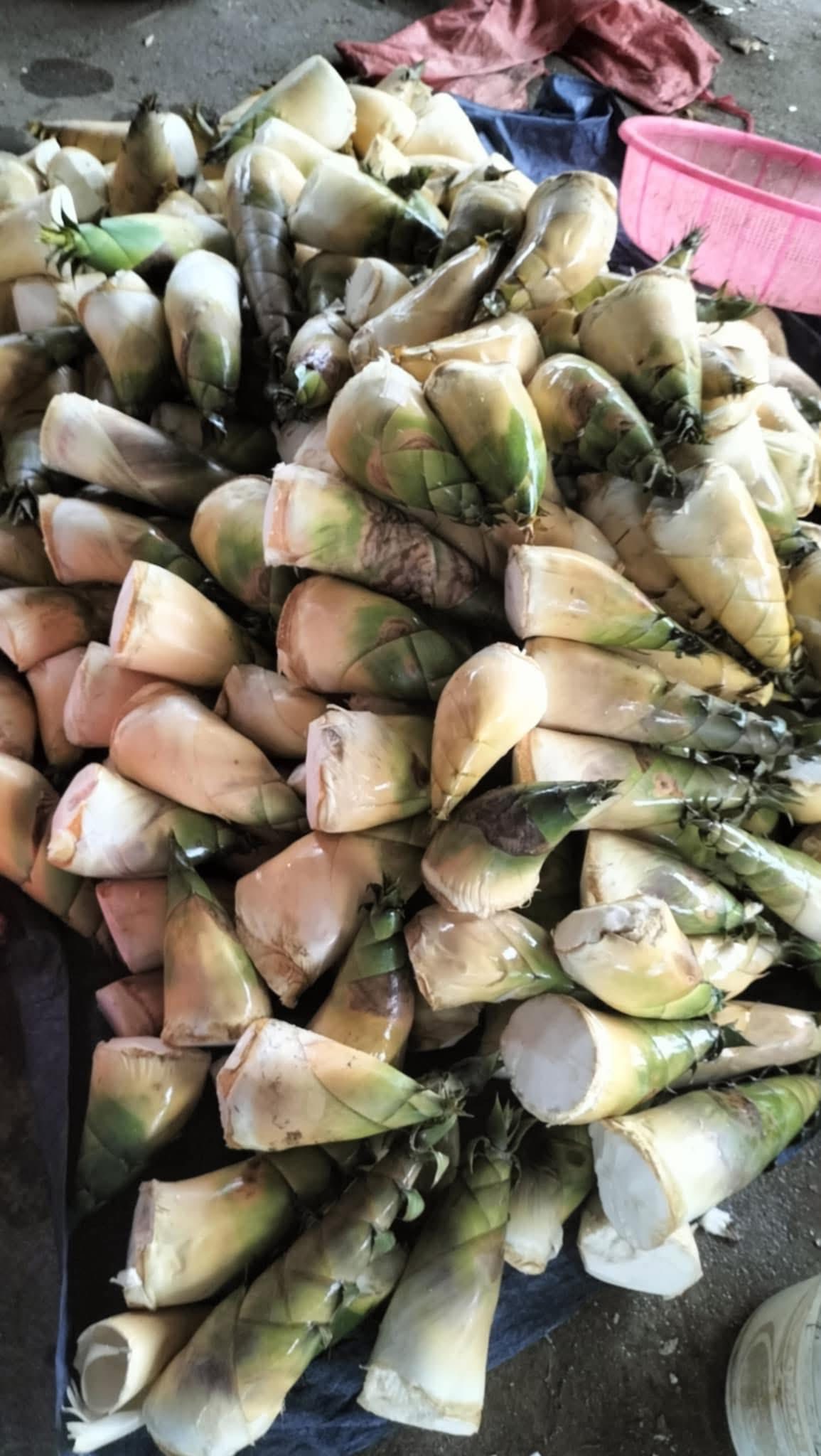 Măng le khô Nam Long Gia Lai 500 gram dạng túi